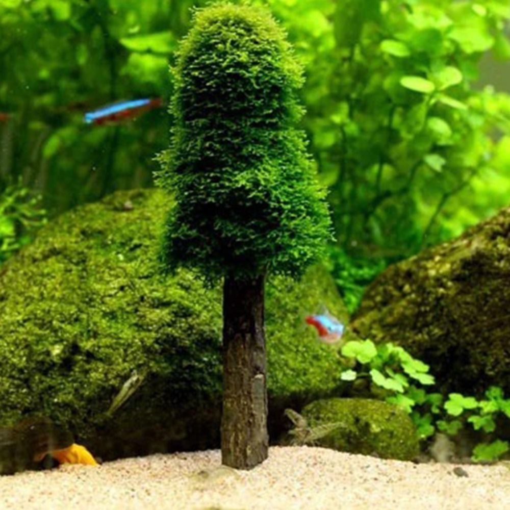 Aquarium Planted Background - Simulation Christmas Tree Aquarium Moss Plants