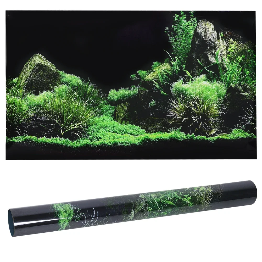 Aquarium Planted Background - Background for Aquarium 3d Sticker Poster
