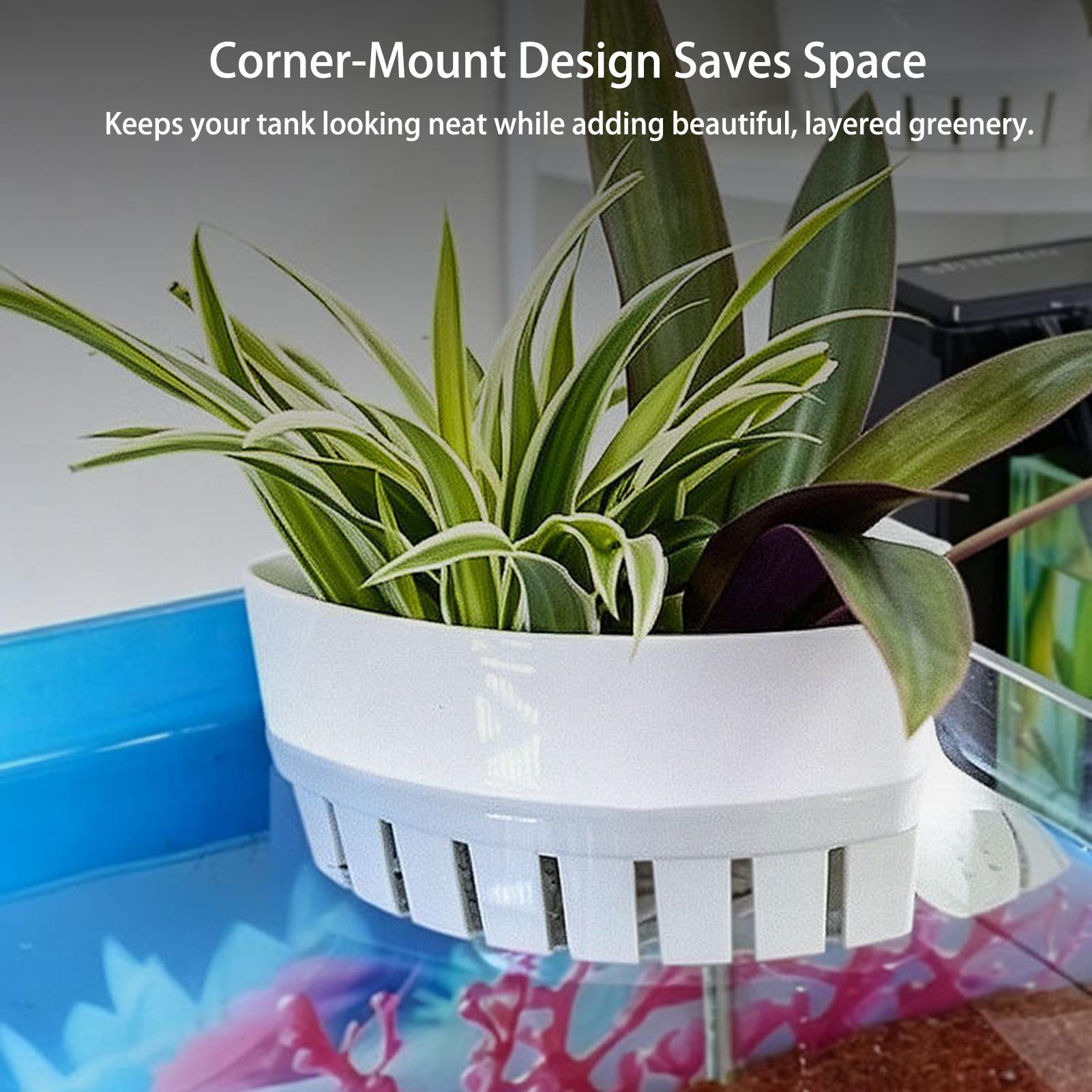 Aquarium Planted Background - Aquarium Plant Basket Hydroponic Fish Tank