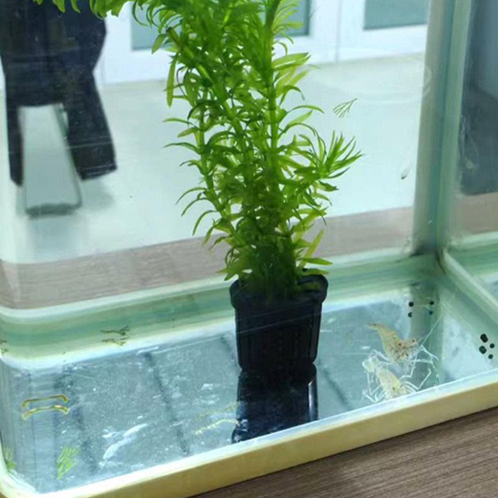 Aquarium Planted Background - 4 Pieces Hydroponic Plant Basket Set