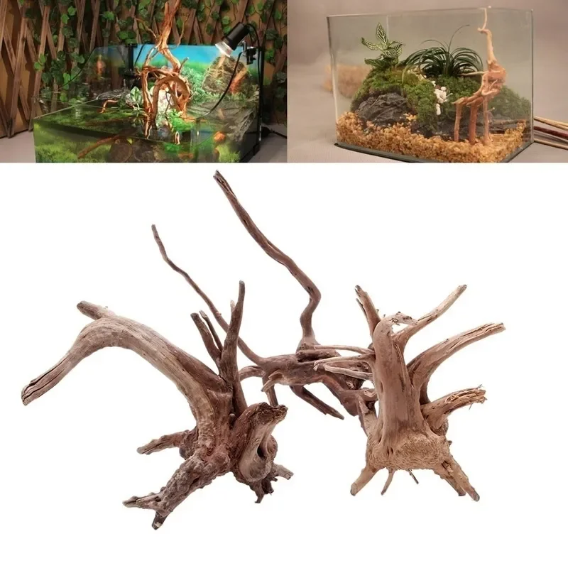 Planted Aquarium Media - Natural Tree Trunk Driftwood Aquarium Fish