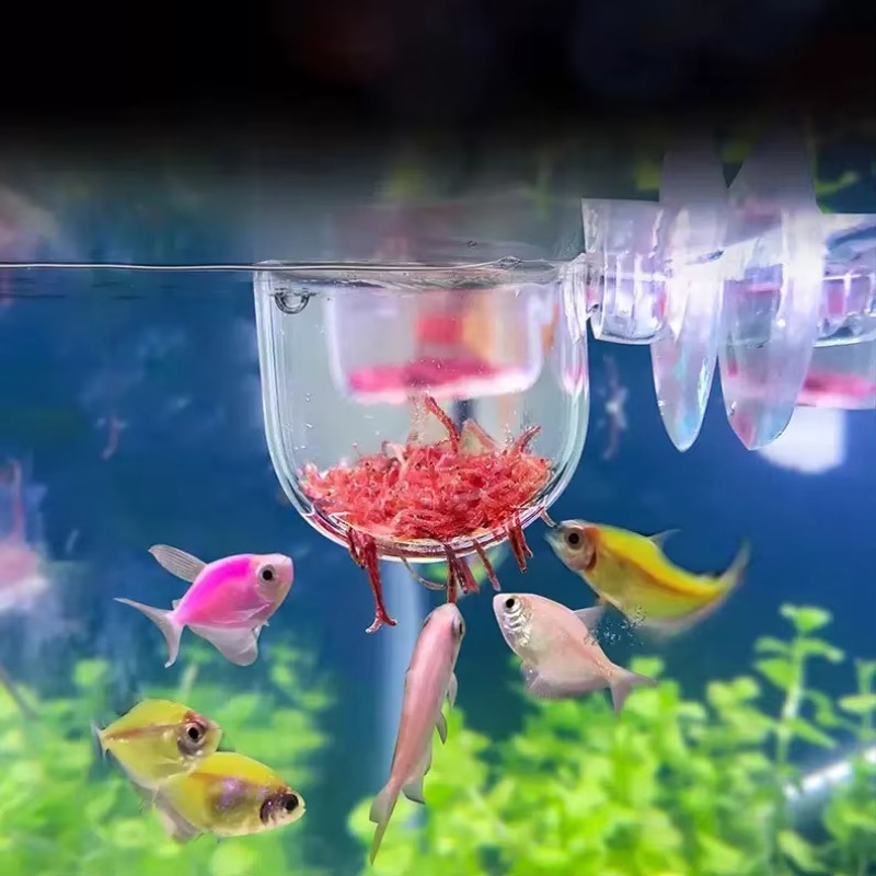 Aquarium Plant Factory - Factory Aquarium Decoration Hanging Fish Tank