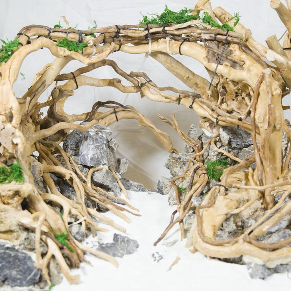 Aquarium Planted Background - Wood N1N Reptile Tank Background Aquarium
