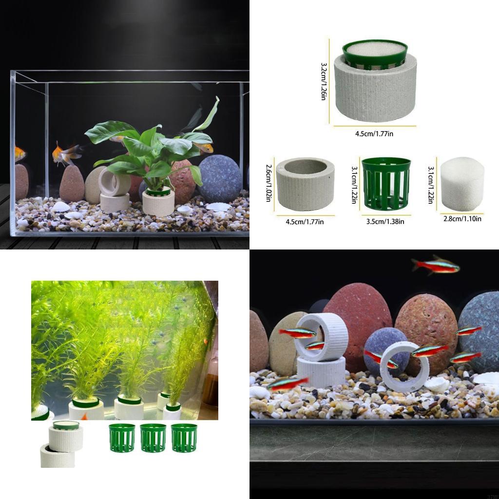 Aquarium Planted Background - 37ME Ceramic Aquarium Plant Rings For