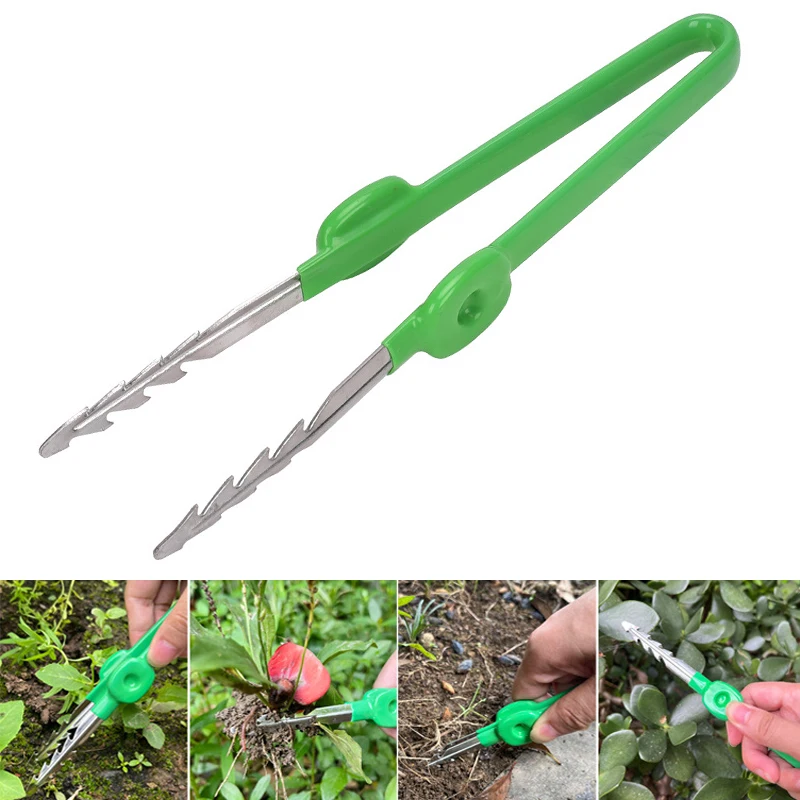 Planted Clip Tweezers - 1Pc Gardening Tweezers Succulent Plant Potted