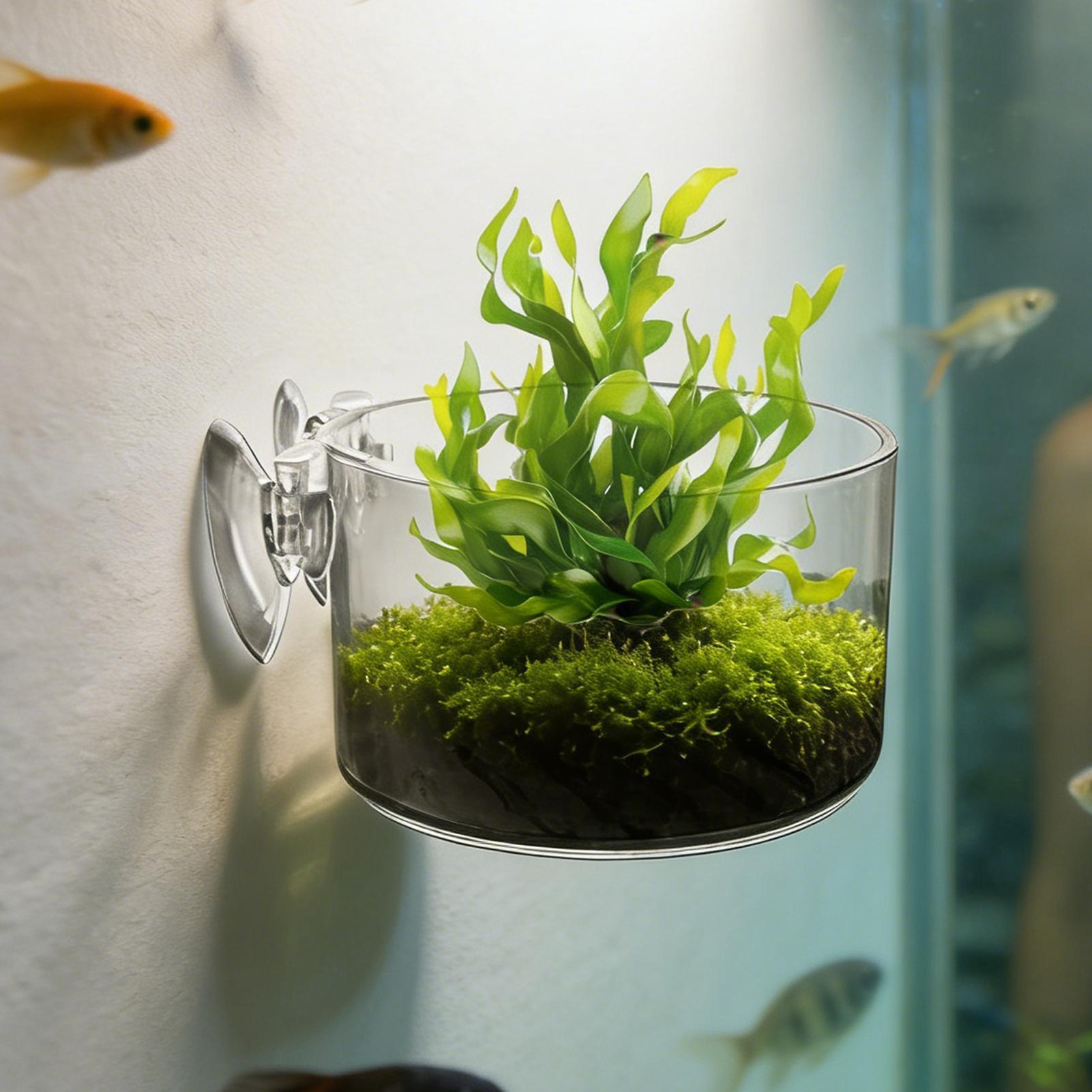 Aquarium Planted Background - Aquarium Plant Holder Acrylic Aquatic Plant