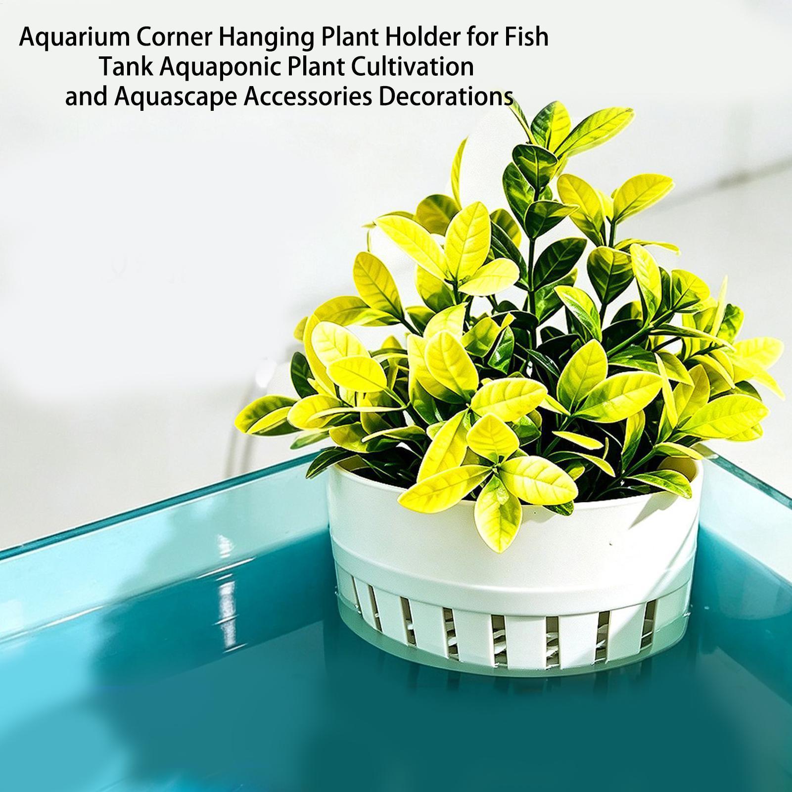 Aquarium Plant Basket Hydropon - Aquarium Planted Background ulasan dan harga