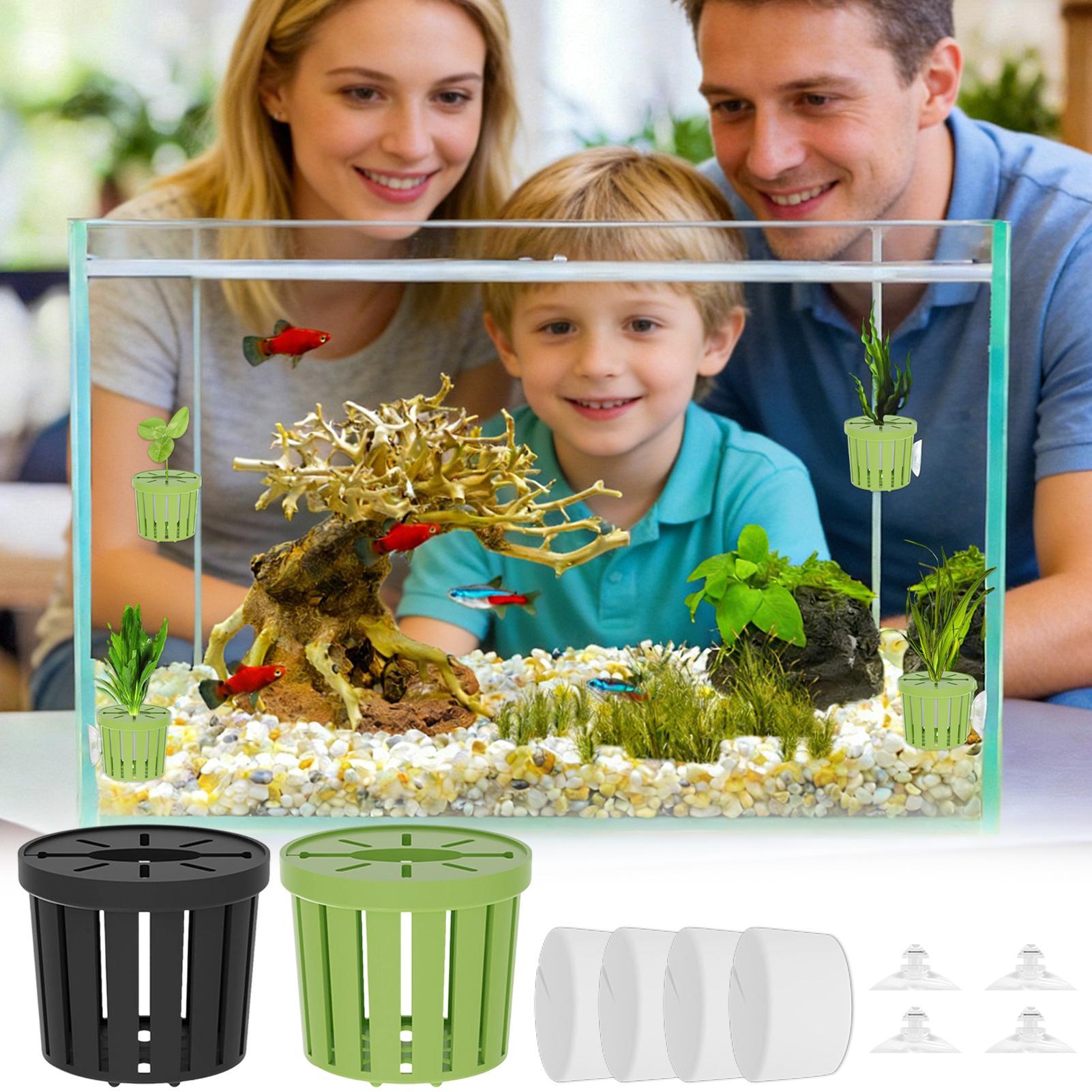 4 Pieces Hydroponic Plant Bask - Aquarium Planted Background ulasan dan harga