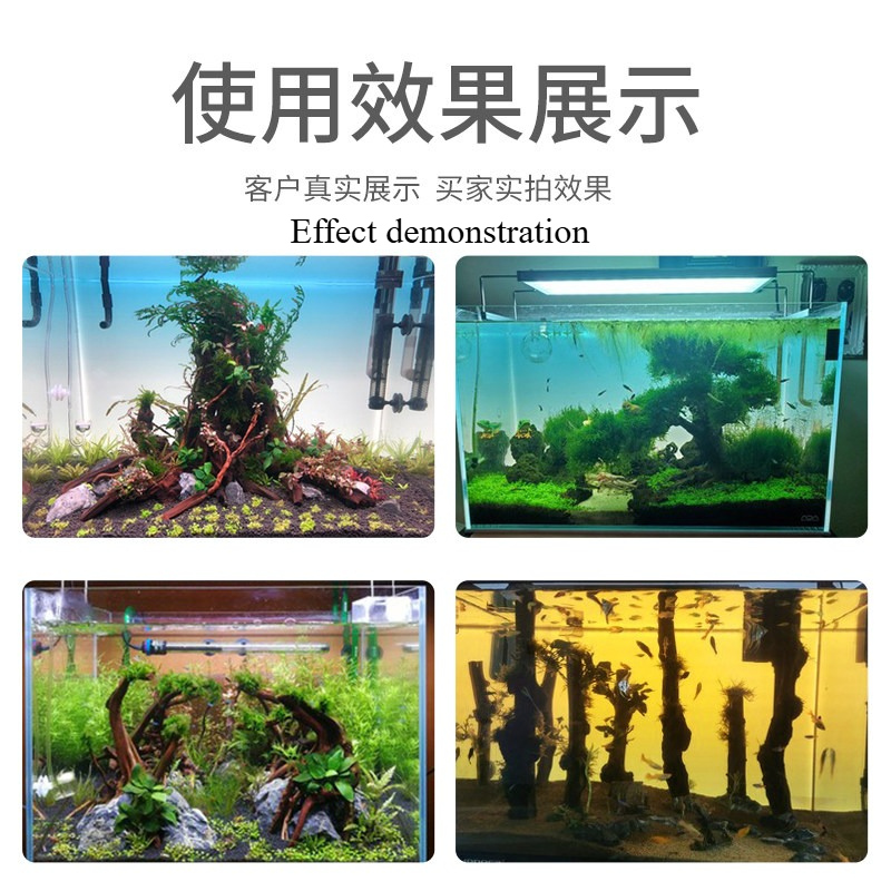 Custom LED Aquarium Background - Aquarium Planted Background ulasan dan harga