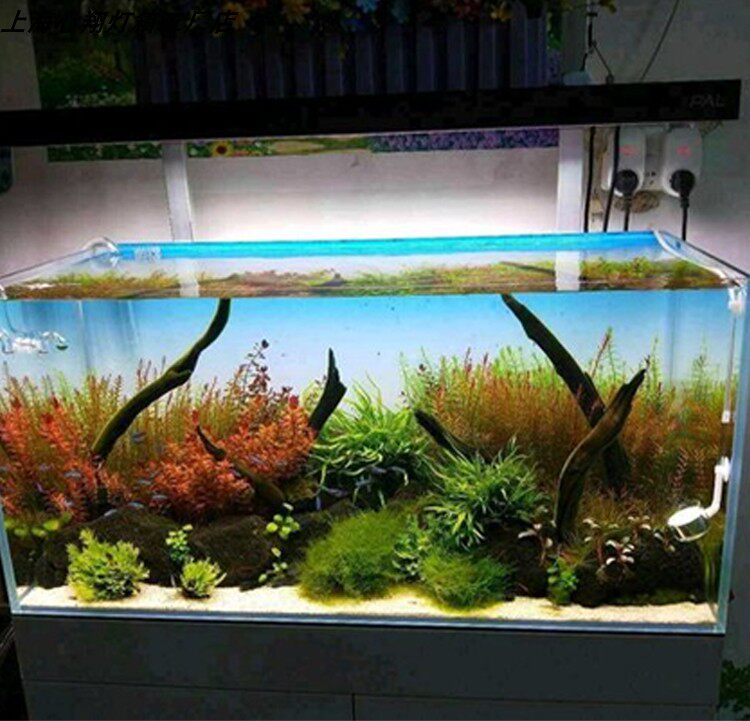 Custom LED Aquarium Background - Aquarium Planted Background ulasan dan harga