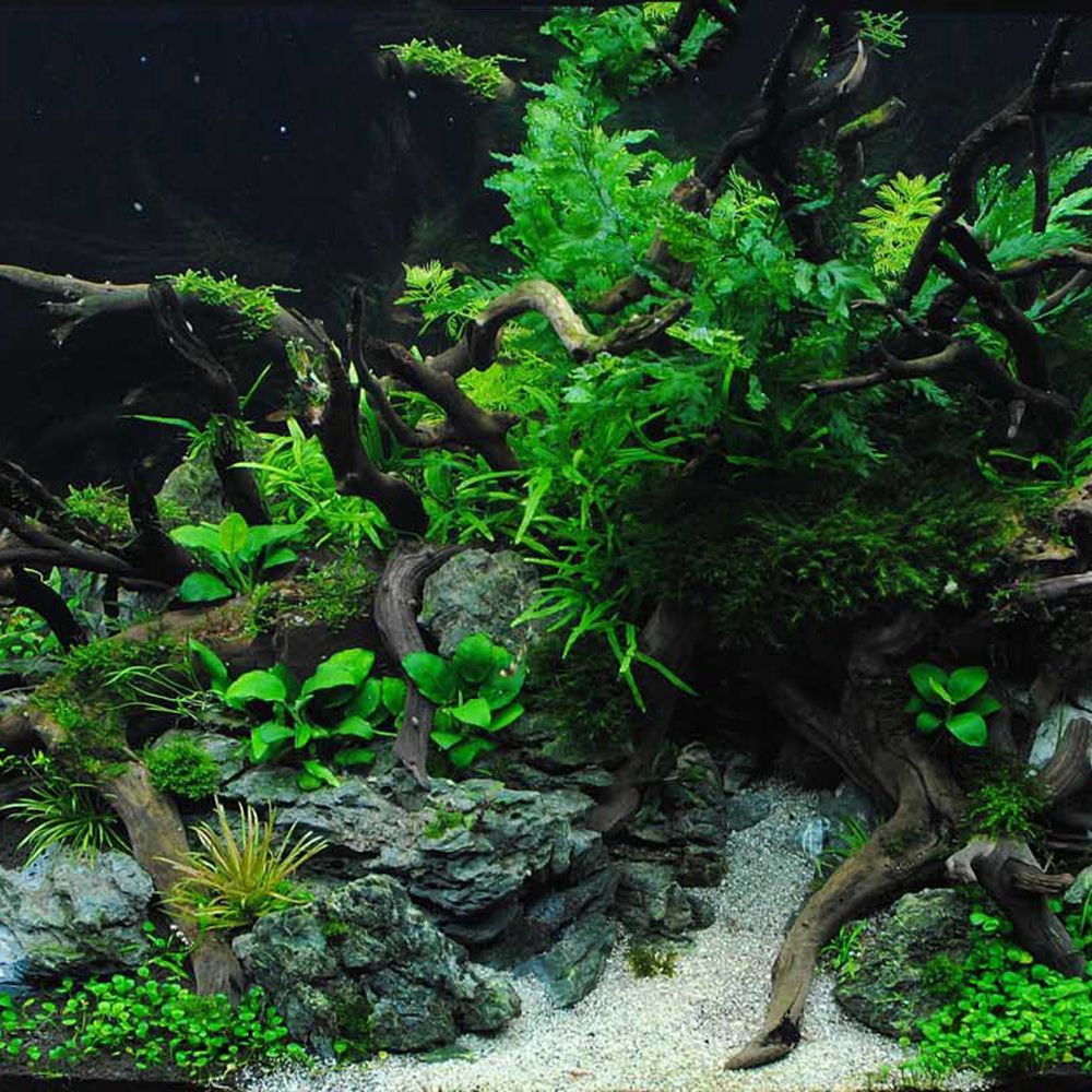 Wood N1N Reptile Tank Backgrou - Aquarium Planted Background ulasan dan harga
