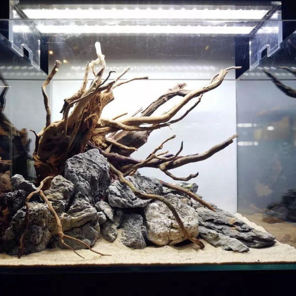 Wood N1N Reptile Tank Backgrou - Aquarium Planted Background ulasan dan harga