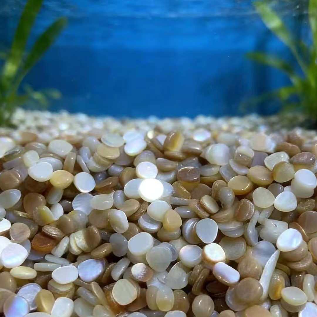 50pcs 4-7mm Not Drilled Natura - Aquarium Sand White ulasan dan harga