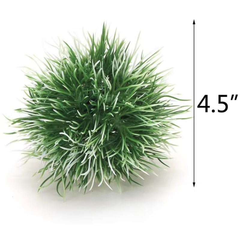 10pcs Hot Selling New Arrival  - Aquarium Plants For Sale ulasan dan harga