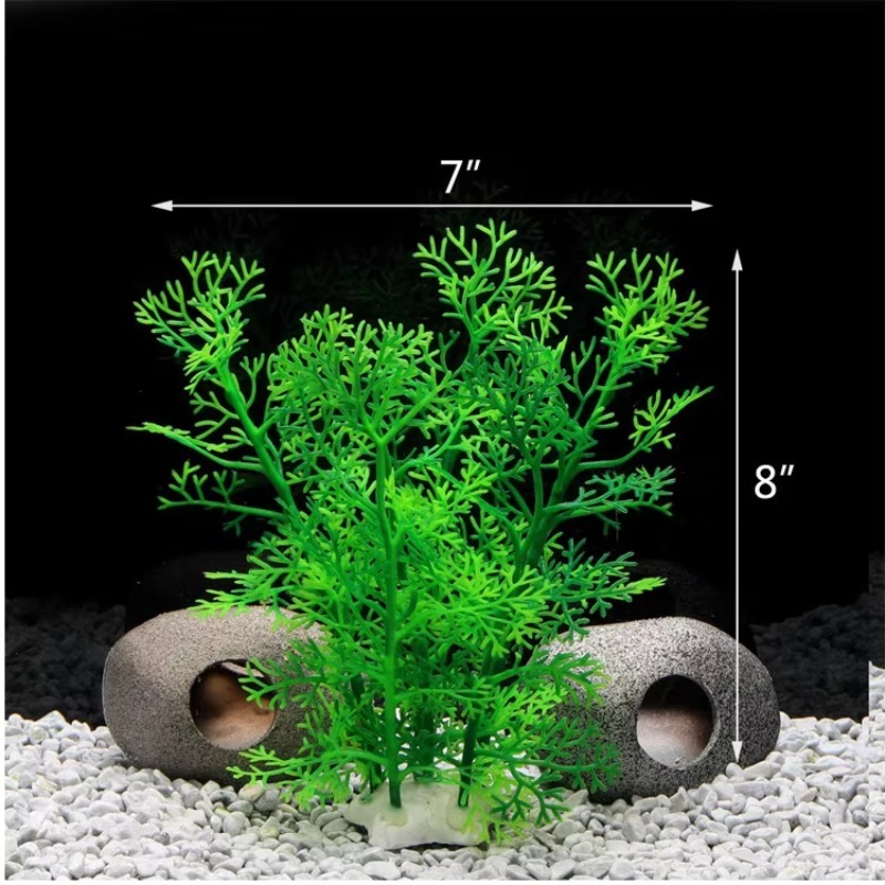 10pcs Hot Selling New Arrival  - Aquarium Plants For Sale ulasan dan harga