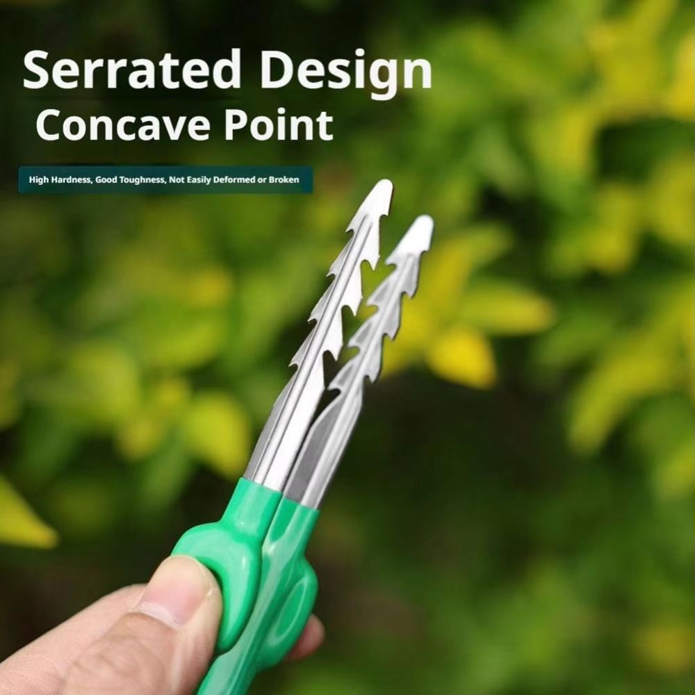 Stainless Steel Gardening Twee - Planted Clip Tweezers ulasan dan harga