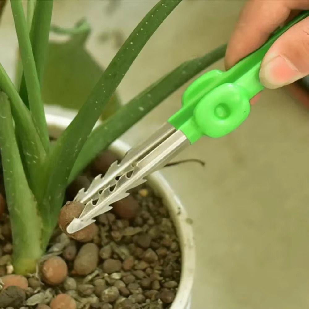 Stainless Steel Gardening Twee - Planted Clip Tweezers ulasan dan harga
