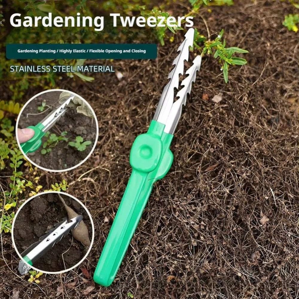 Stainless Steel Gardening Twee - Planted Clip Tweezers ulasan dan harga