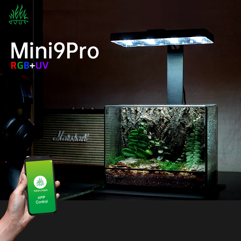 Hot Sale Mini9pro Nano Terrari - Aquarium Plants For Sale ulasan dan harga