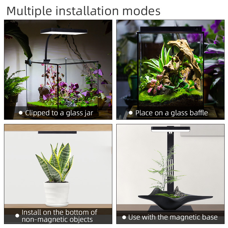 Hot Sale Mini9pro Nano Terrari - Aquarium Plants For Sale ulasan dan harga