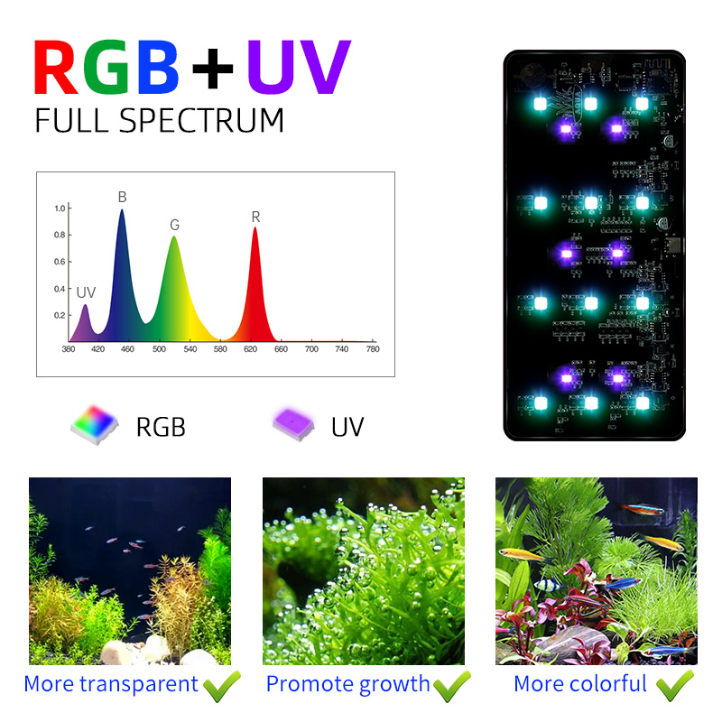 Hot Sale Mini9pro Nano Terrari - Aquarium Plants For Sale ulasan dan harga