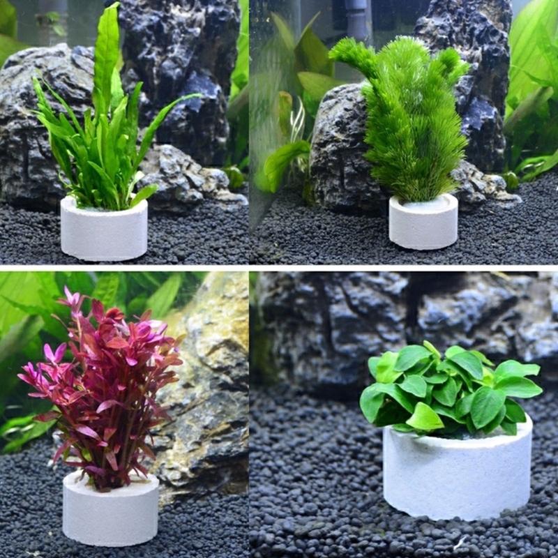 37ME Ceramic Aquarium Plant Ri - Aquarium Planted Background ulasan dan harga