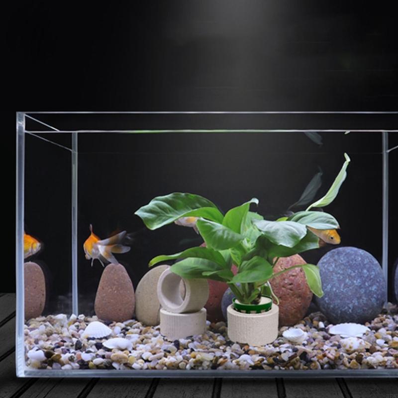37ME Ceramic Aquarium Plant Ri - Aquarium Planted Background ulasan dan harga