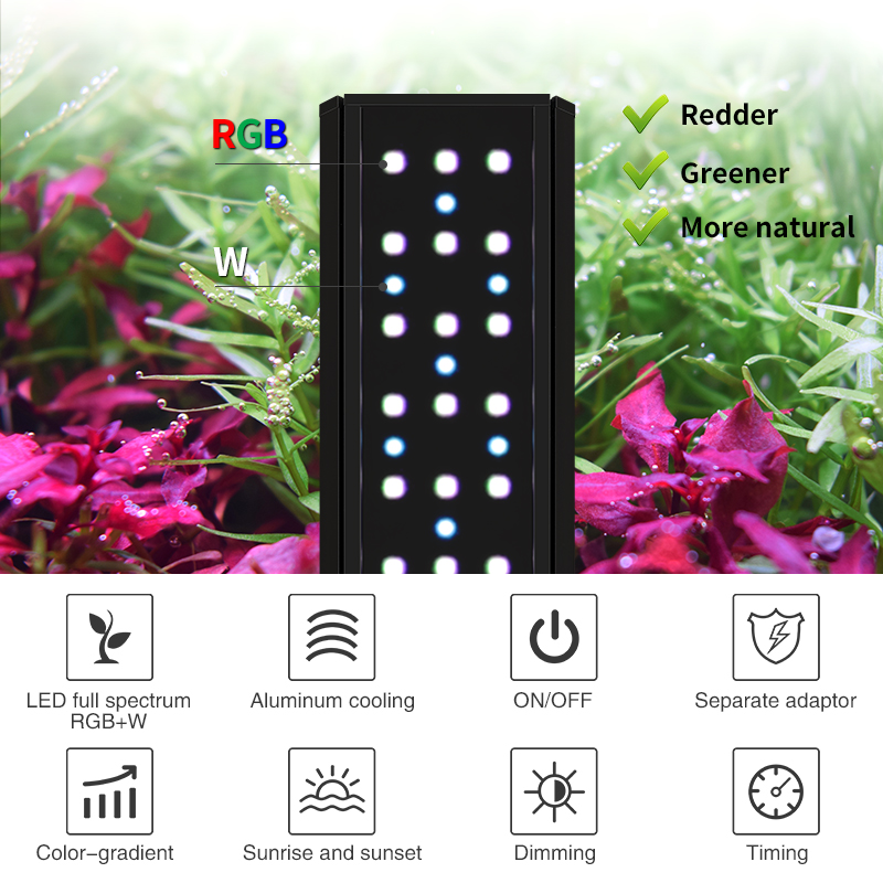 ZXY Hot Sale WEEKAQUA V400 WRG - Aquarium Plants For Sale ulasan dan harga
