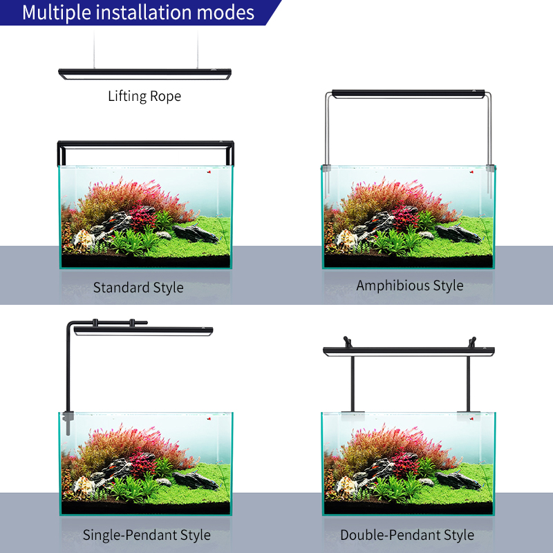ZXY Hot Sale WEEKAQUA V400 WRG - Aquarium Plants For Sale ulasan dan harga