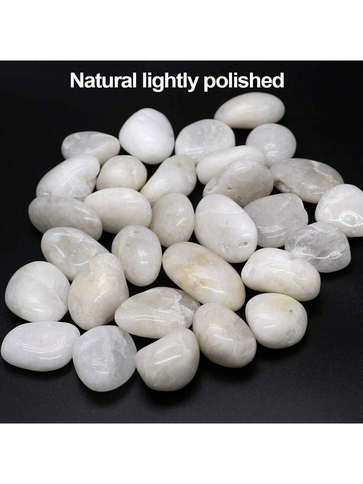 River Rocks Decorative Ornamen - Aquarium Sand White ulasan dan harga