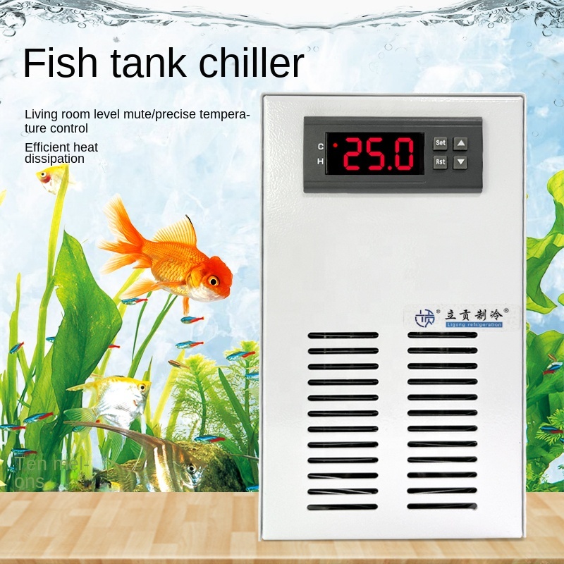 TOP Sales Fish tank Water Chil - Aquarium Plants For Sale ulasan dan harga