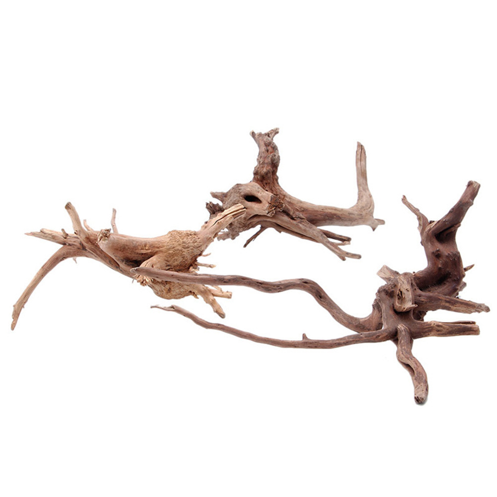 4pc Natural Driftwood Aquarium - Aquarium Plants For Sale ulasan dan harga