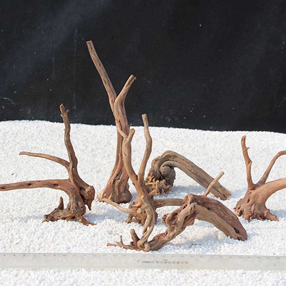 4pc Natural Driftwood Aquarium - Aquarium Plants For Sale ulasan dan harga