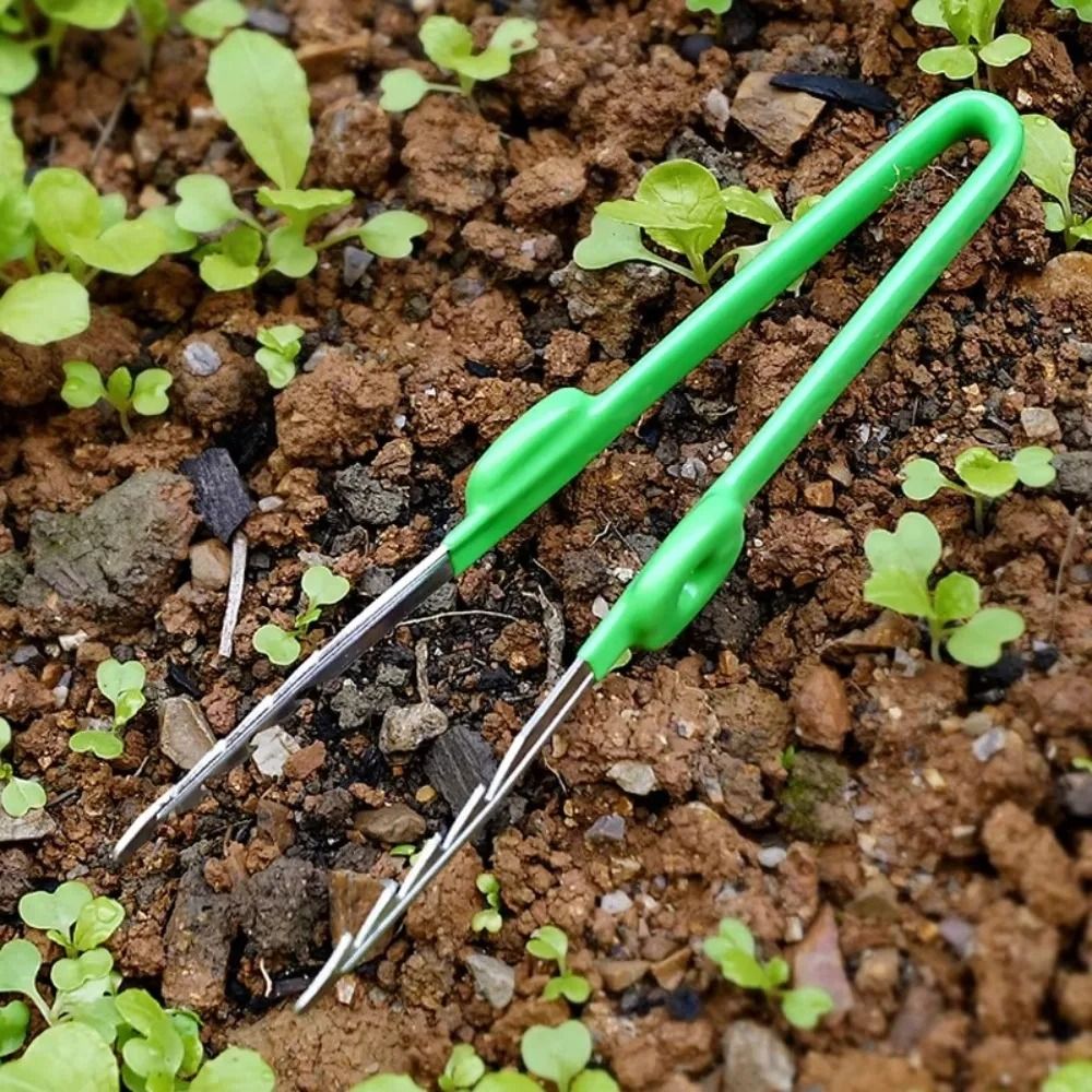 Stainless Steel Gardening Twee - Planted Clip Tweezers ulasan dan harga