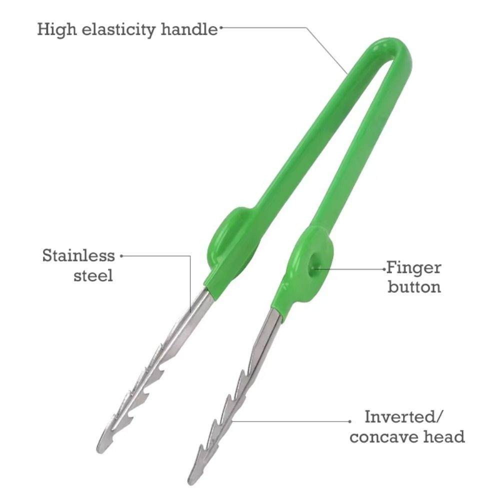 Stainless Steel Gardening Twee - Planted Clip Tweezers ulasan dan harga