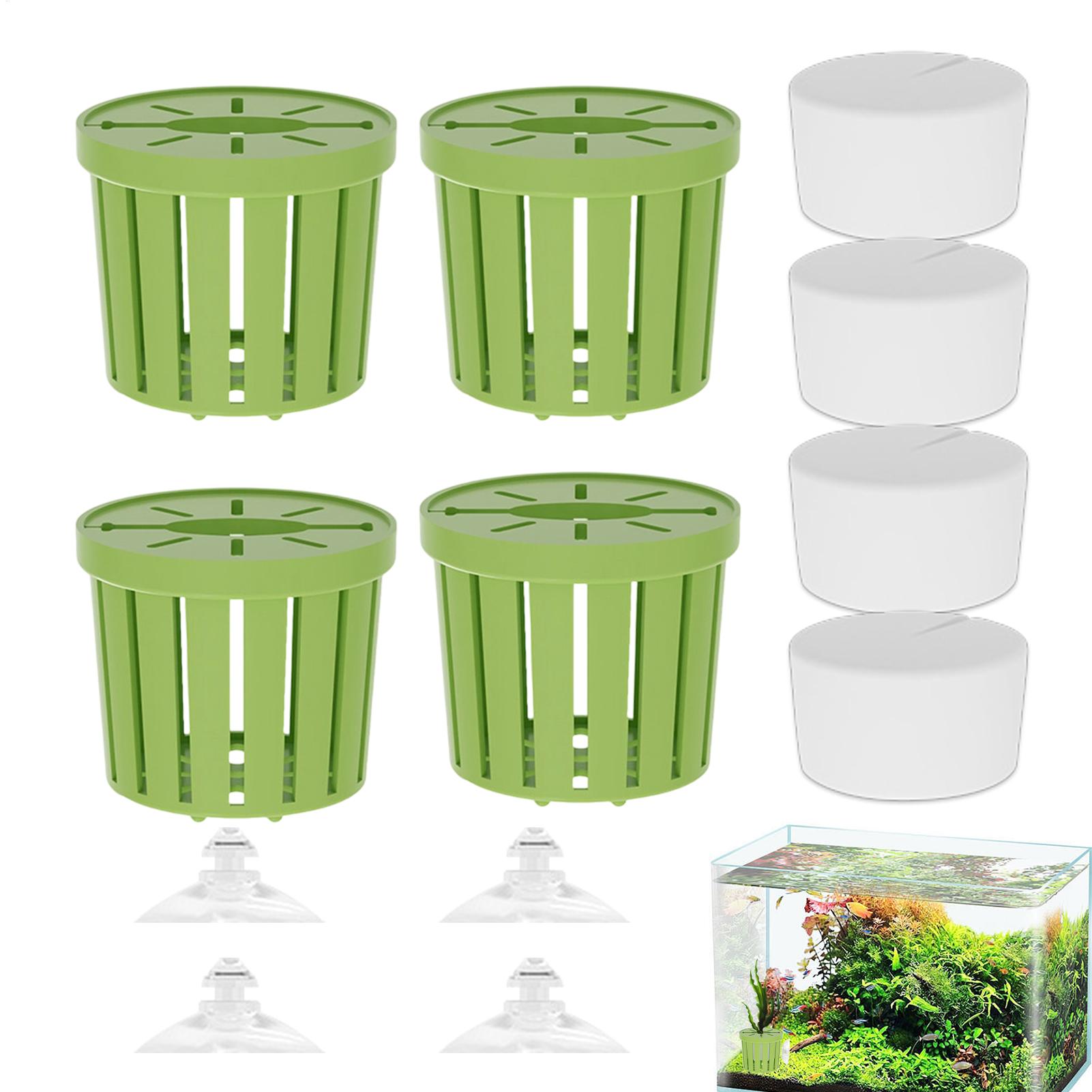 4Pcs Aquatic Plants Fixed Set  - Aquarium Planted Background ulasan dan harga