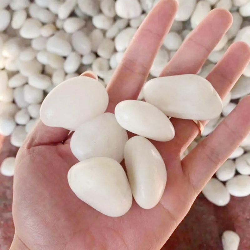 Natural White Polished River R - Aquarium Sand White ulasan dan harga