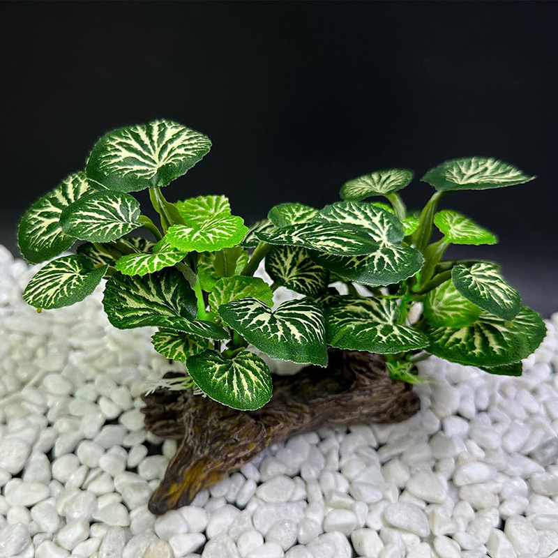 Artificial Underwater Grass Aq - Aquarium Planted Background ulasan dan harga