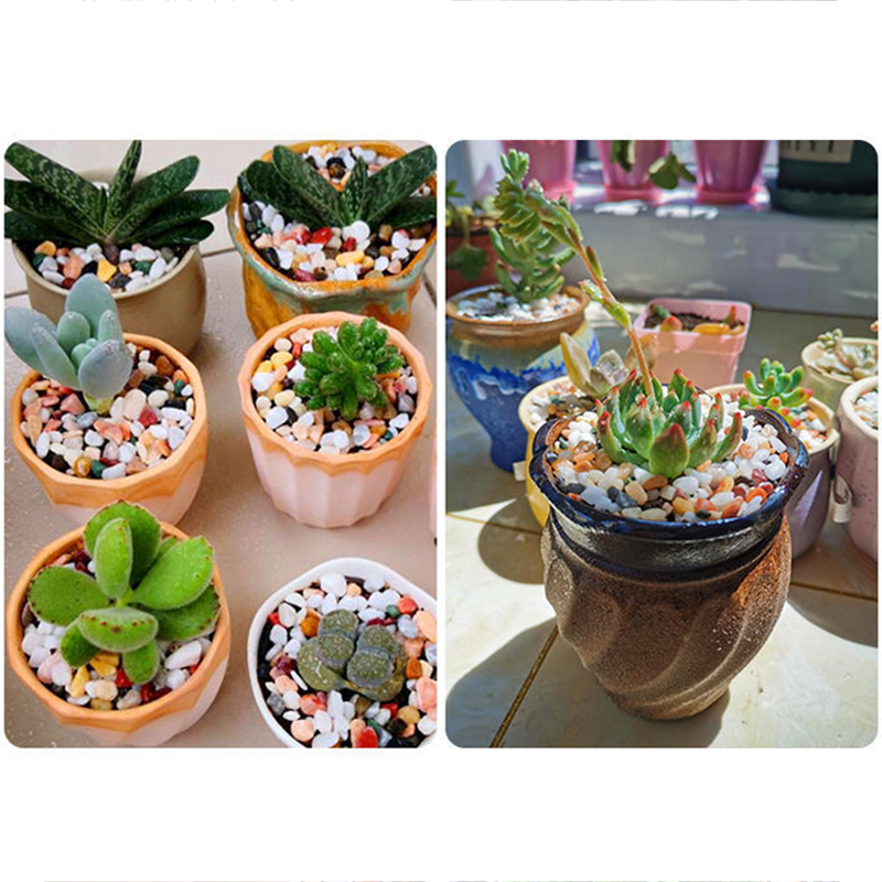 Natural Gravel Stone 200~1000g - Aquarium Sand White ulasan dan harga
