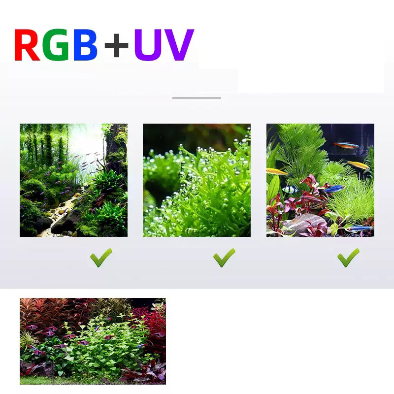 Led Lighting 60cm 80cm 90cm RG - Aquarium Plants For Sale ulasan dan harga