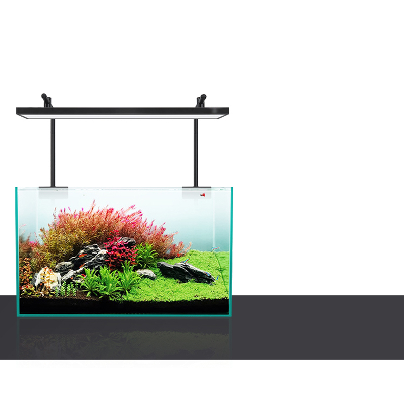 Led Lighting 60cm 80cm 90cm RG - Aquarium Plants For Sale ulasan dan harga