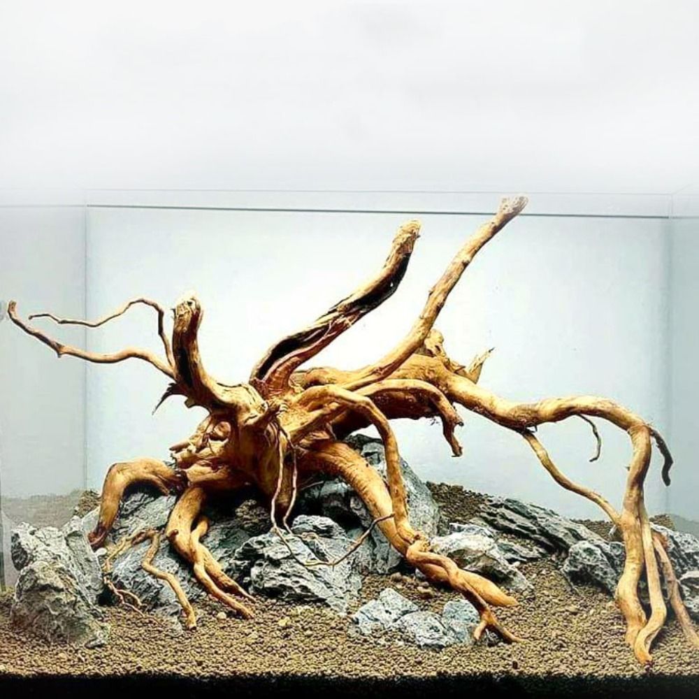 20-25CM Large Aquarium Driftwo - Planted Aquarium Media ulasan dan harga