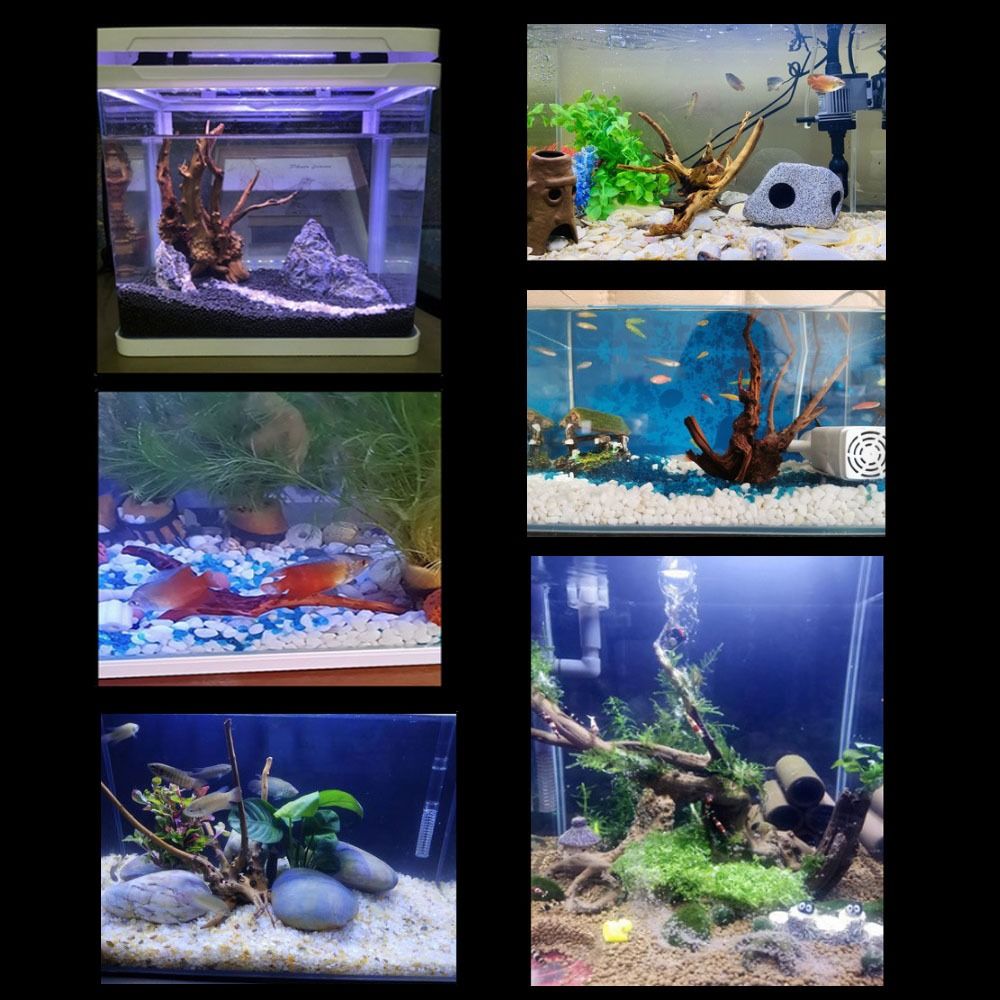 20-25CM Large Aquarium Driftwo - Planted Aquarium Media ulasan dan harga