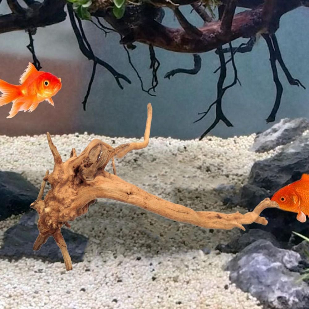 20-25CM Large Aquarium Driftwo - Planted Aquarium Media ulasan dan harga