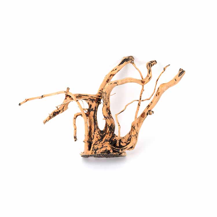 Wholesale Hot Sale Natural Dec - Aquarium Plants For Sale ulasan dan harga