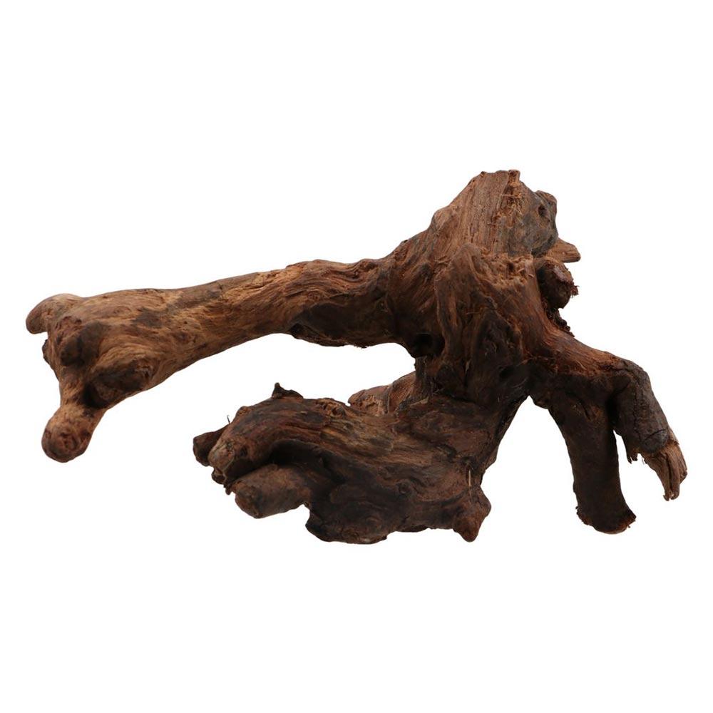 Creative Irregular Shape Coral - Planted Aquarium Media ulasan dan harga