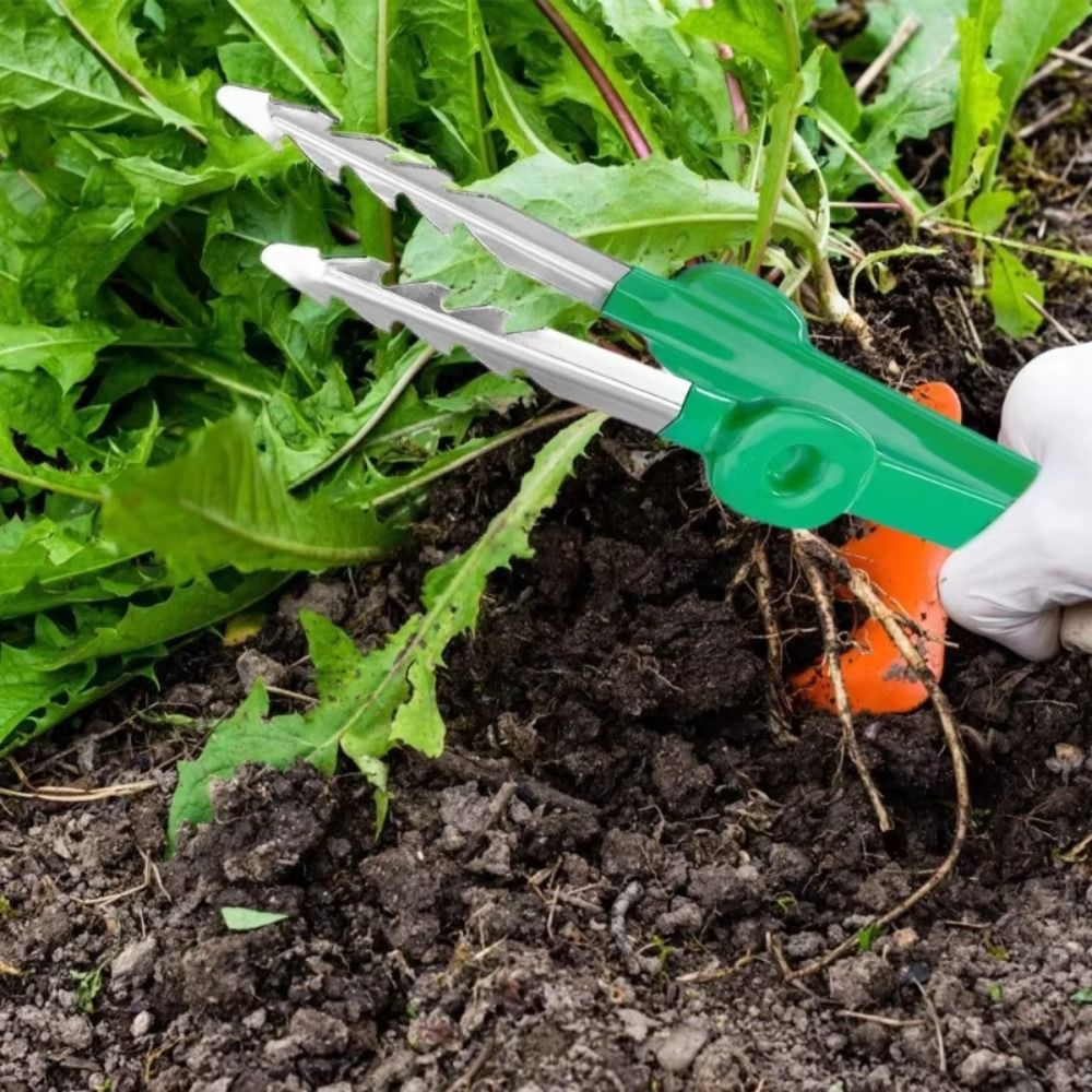 Stainless Steel Gardening Twee - Planted Clip Tweezers ulasan dan harga