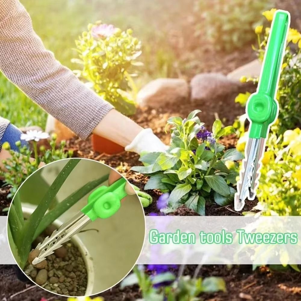 Stainless Steel Gardening Twee - Planted Clip Tweezers ulasan dan harga