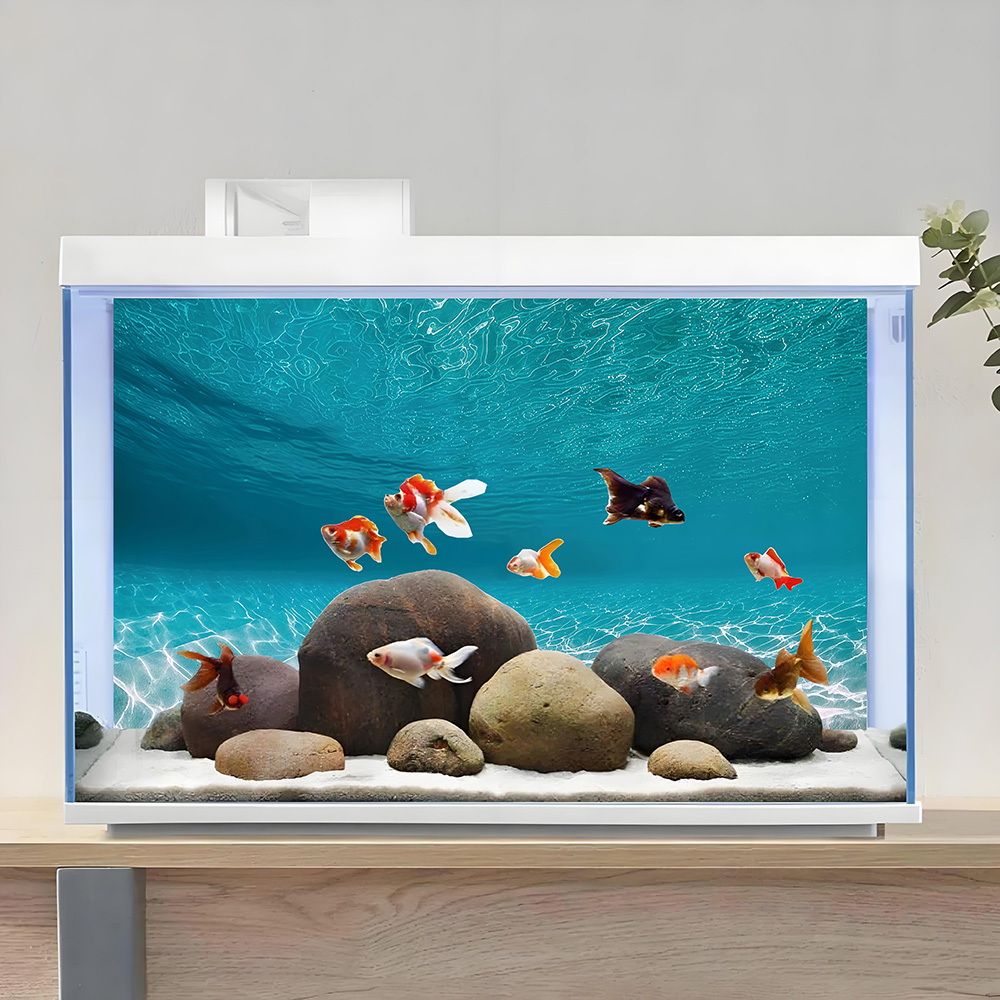 Sunshine white sand，Fish tank  - Aquarium Sand White ulasan dan harga