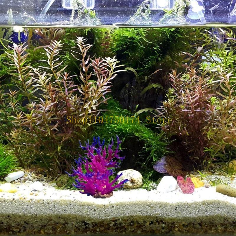 Artificial Water Plant Aquariu - Aquarium Plants For Sale ulasan dan harga